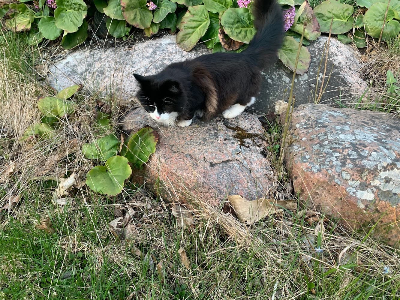 Alternativ bild för Fornbro Loppis