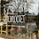 Vildplocket logo