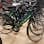 Wali's cykel logo