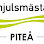 Tvåhjulsmästarna Piteå logo